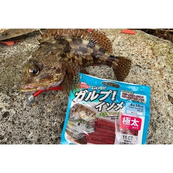 ガルプ！ソルトウォーターイソメ　太身　4インチ